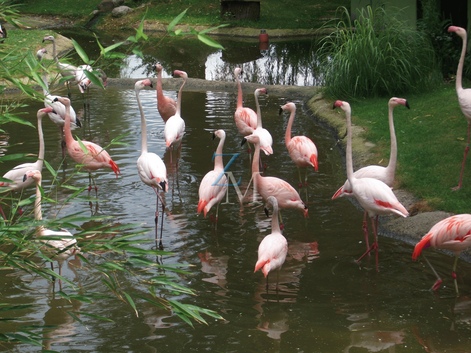 Zoo vrt