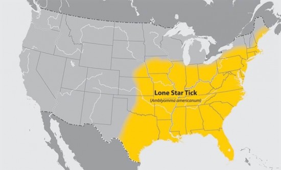 Mapa rasprostranjenosti Lone Star krpelja u SAD