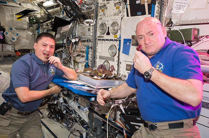 Astronauti Kjel Lindgrin i Skot Keli degustiraju biljke uzgajane na VEG-01 odeljenju Međunarodne svemirske stanice.