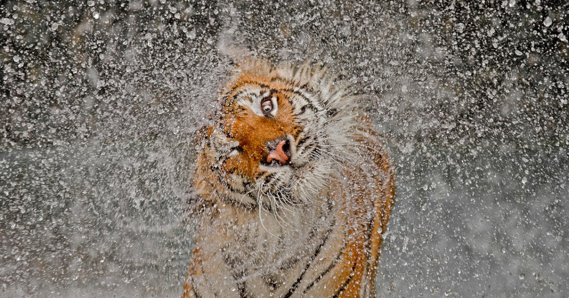 Povodom 125. rođendana National Geographic objavio najlegendarnije fotografije
